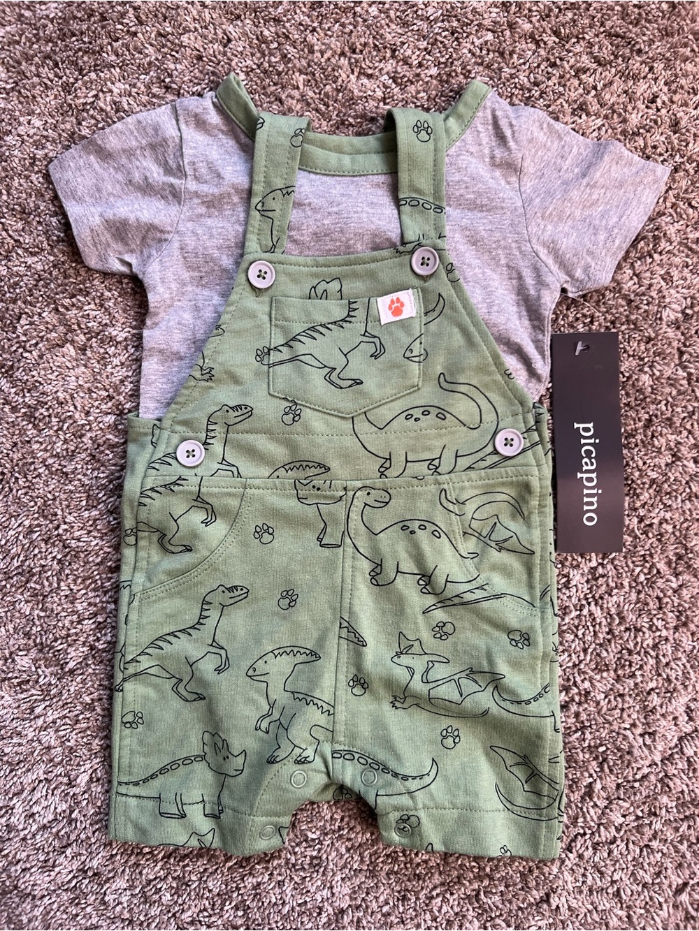 Picapino Green Dinosaur Short Sleeve Overall Tee Set